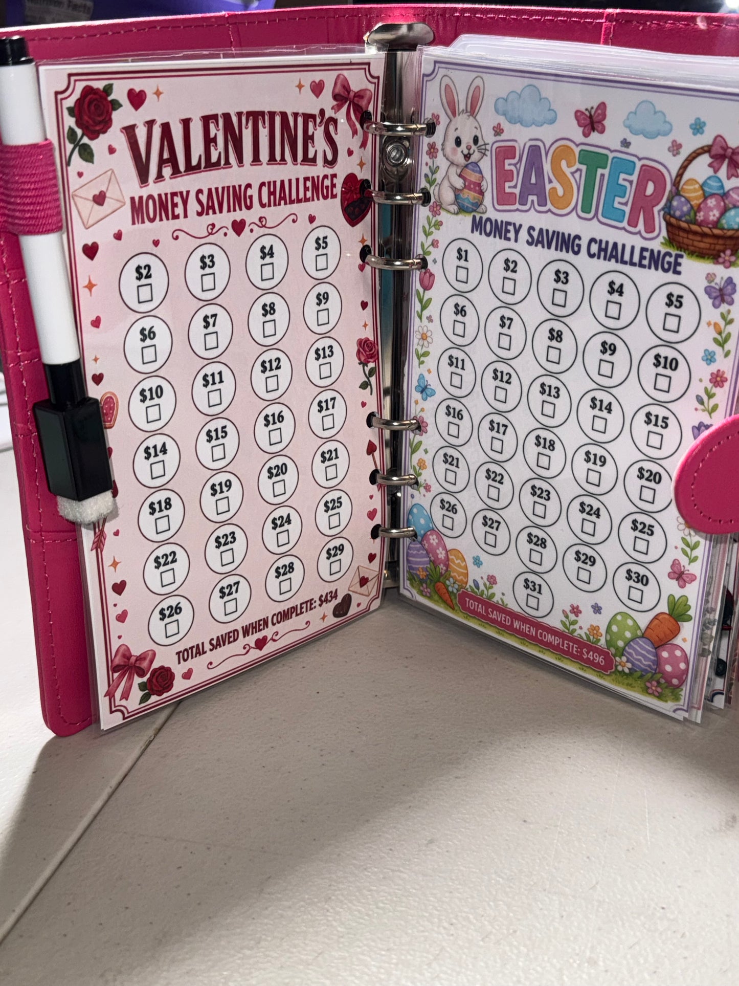 Savings Binder