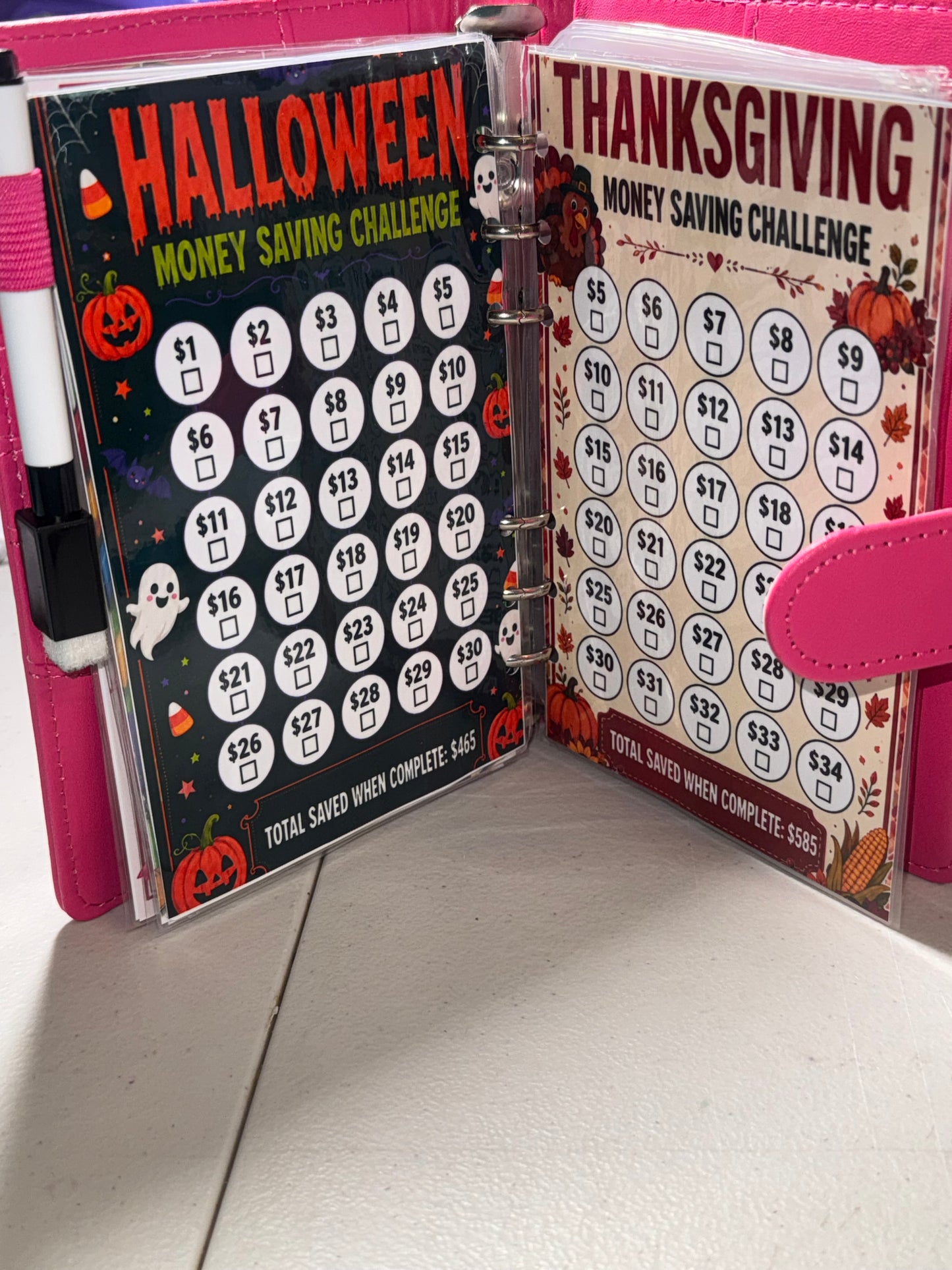 Savings Binder